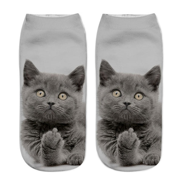 Funny Cat Socks