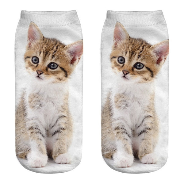Funny Cat Socks