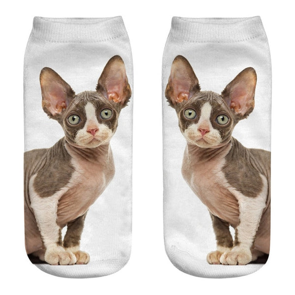 Funny Cat Socks