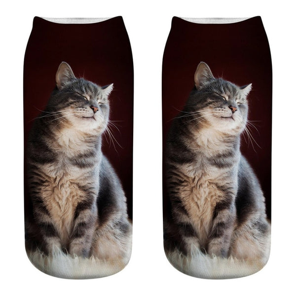 Funny Cat Socks