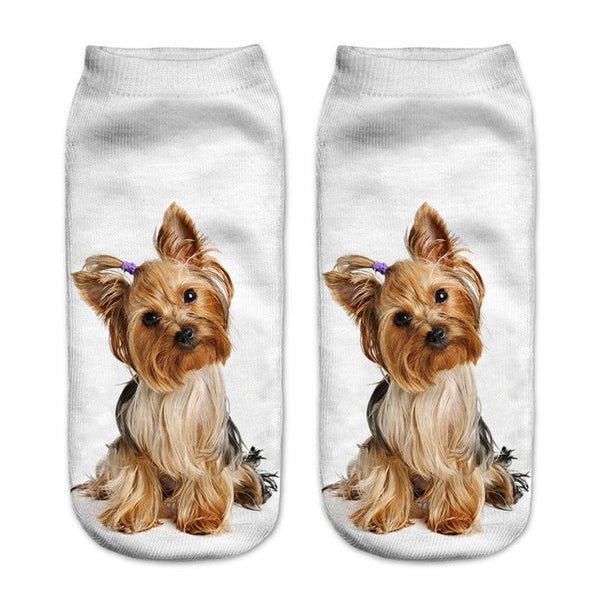 Funny Cat Socks